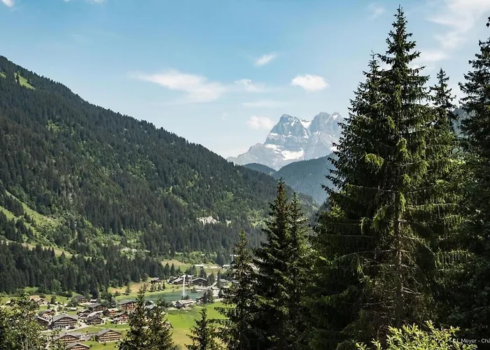 Sylvia Sv57 Center & Nature 3 Pers * Châtel